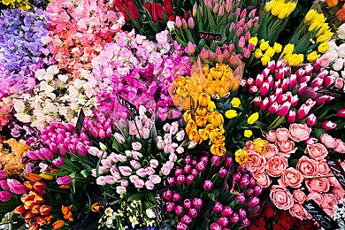 坂口博信作品《FANTASIAN Neo Dimension》开启预购 国区售价298元